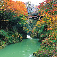 紅葉のきれいな山中温泉